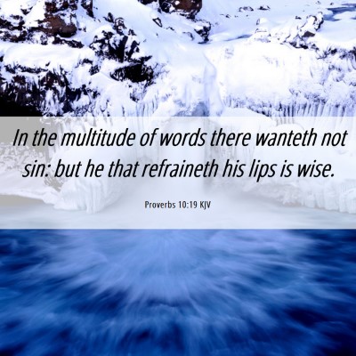 Picture 06 - Proverbs 10:19 KJV - In the multitude of words there wanteth not sin: - Bible Verse Picture