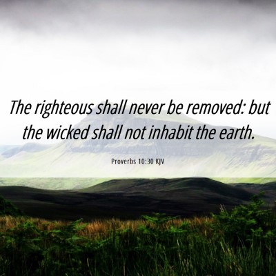 Picture 06 - Proverbs 10:30 KJV - The righteous shall never be removed: but the - Bible Verse Picture