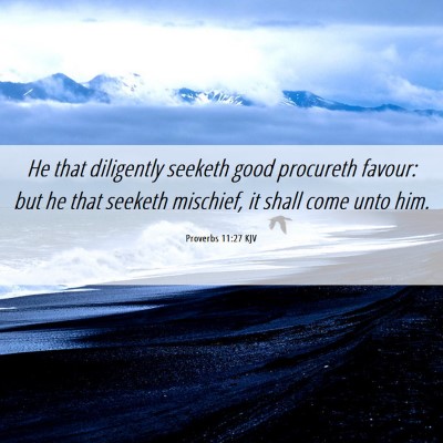 Picture 06 - Proverbs 11:27 KJV - He that diligently seeketh good procureth favour: - Bible Verse Picture