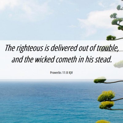 Picture 06 - Proverbs 11:8 KJV - The righteous is delivered out of trouble, and - Bible Verse Picture