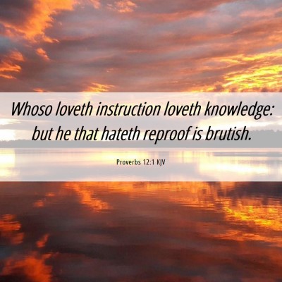 Picture 06 - Proverbs 12:1 KJV - Whoso loveth instruction loveth knowledge: but he - Bible Verse Picture