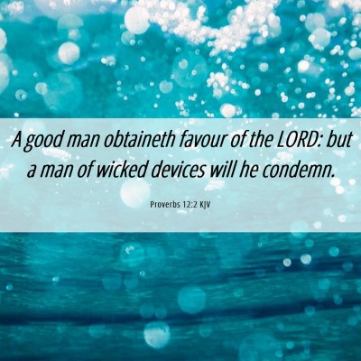 Picture 06 - Proverbs 12:2 KJV - A good man obtaineth favour of the LORD: but a - Bible Verse Picture