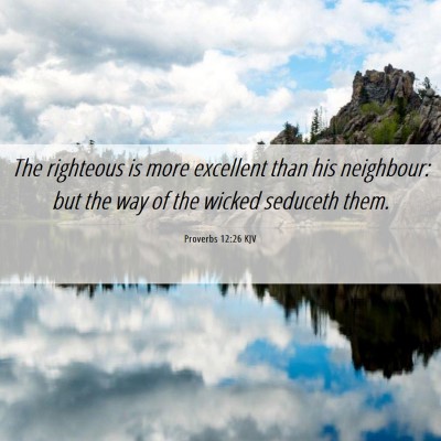 Picture 06 - Proverbs 12:26 KJV - The righteous is more excellent than his - Bible Verse Picture