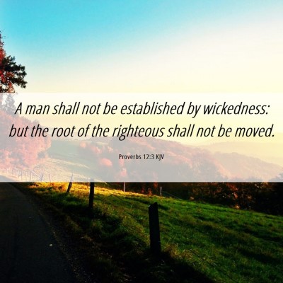 Picture 06 - Proverbs 12:3 KJV - A man shall not be established by wickedness: but - Bible Verse Picture