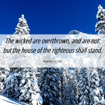 Picture 06 - Proverbs 12:7 KJV - The wicked are overthrown, and are not: but the - Bible Verse Picture