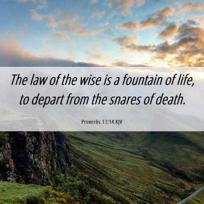 Picture 06 - Proverbs 13:14 KJV - The law of the wise is a fountain of life, to - Bible Verse Picture