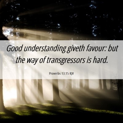 Picture 06 - Proverbs 13:15 KJV - Good understanding giveth favour: but the way of - Bible Verse Picture