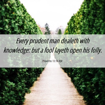 Picture 06 - Proverbs 13:16 KJV - Every prudent man dealeth with knowledge: but a - Bible Verse Picture