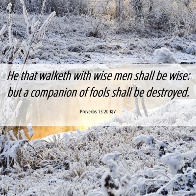 Picture 06 - Proverbs 13:20 KJV - He that walketh with wise men shall be wise: but - Bible Verse Picture