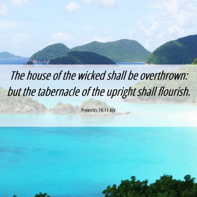 Picture 06 - Proverbs 14:11 KJV - The house of the wicked shall be overthrown: but - Bible Verse Picture