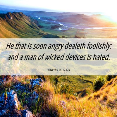Picture 06 - Proverbs 14:17 KJV - He that is soon angry dealeth foolishly: and a - Bible Verse Picture