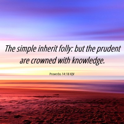 Picture 06 - Proverbs 14:18 KJV - The simple inherit folly: but the prudent are - Bible Verse Picture