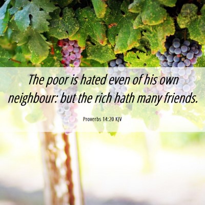 Picture 06 - Proverbs 14:20 KJV - The poor is hated even of his own neighbour: but - Bible Verse Picture