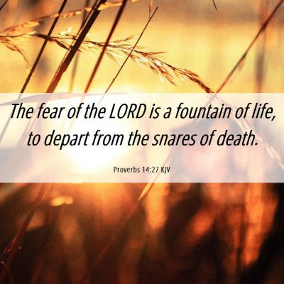 Picture 06 - Proverbs 14:27 KJV - The fear of the LORD is a fountain of life, to - Bible Verse Picture