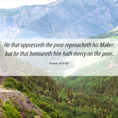 Picture 06 - Proverbs 14:31 KJV - He that oppresseth the poor reproacheth his - Bible Verse Picture