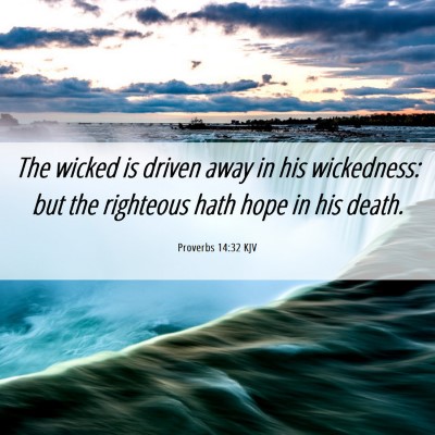 Picture 06 - Proverbs 14:32 KJV - The wicked is driven away in his wickedness: but - Bible Verse Picture