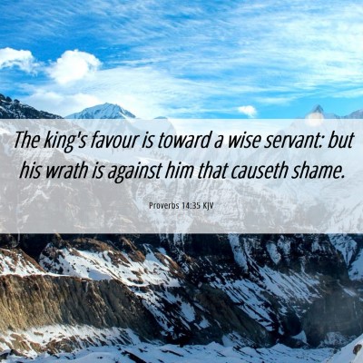 Picture 06 - Proverbs 14:35 KJV - The king's favour is toward a wise servant: but - Bible Verse Picture