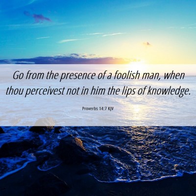 Picture 06 - Proverbs 14:7 KJV - Go from the presence of a foolish man, when thou - Bible Verse Picture