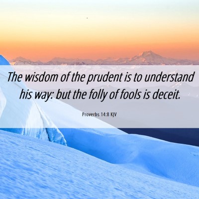 Picture 06 - Proverbs 14:8 KJV - The wisdom of the prudent is to understand his - Bible Verse Picture