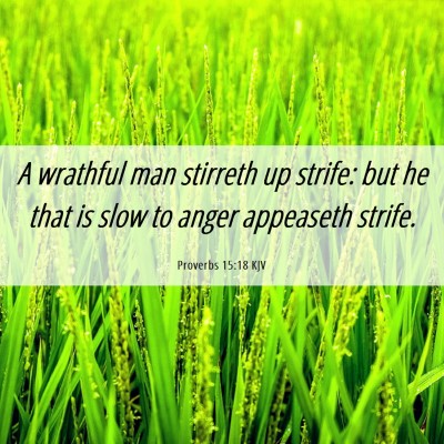 Picture 06 - Proverbs 15:18 KJV - A wrathful man stirreth up strife: but he that is - Bible Verse Picture