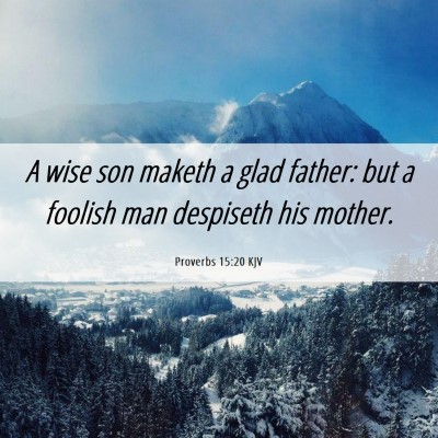 Picture 06 - Proverbs 15:20 KJV - A wise son maketh a glad father: but a foolish - Bible Verse Picture