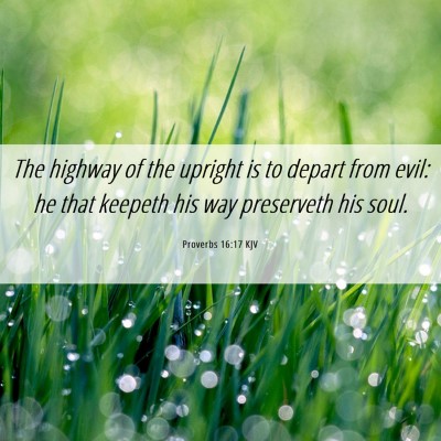 Picture 06 - Proverbs 16:17 KJV - The highway of the upright is to depart from - Bible Verse Picture