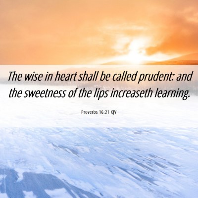 Picture 06 - Proverbs 16:21 KJV - The wise in heart shall be called prudent: and - Bible Verse Picture