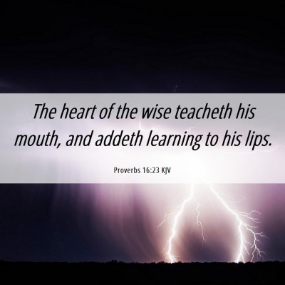 Picture 06 - Proverbs 16:23 KJV - The heart of the wise teacheth his mouth, and - Bible Verse Picture