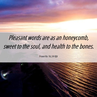 Picture 06 - Proverbs 16:24 KJV - Pleasant words are as an honeycomb, sweet to the - Bible Verse Picture