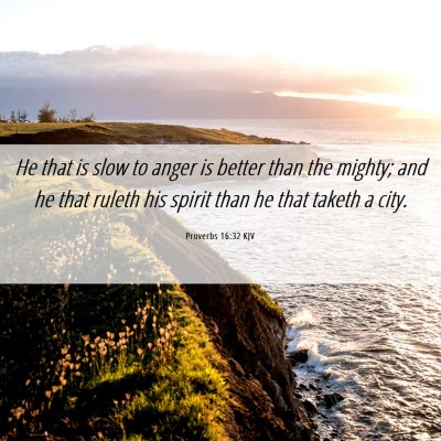 Picture 06 - Proverbs 16:32 KJV - He that is slow to anger is better than the - Bible Verse Picture