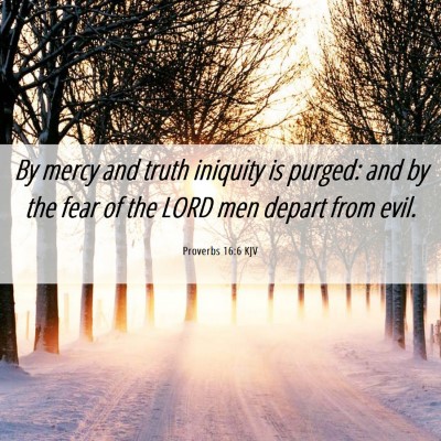 Picture 06 - Proverbs 16:6 KJV - By mercy and truth iniquity is purged: and by the - Bible Verse Picture