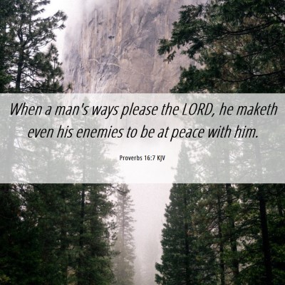 Picture 06 - Proverbs 16:7 KJV - When a man's ways please the LORD, he maketh even - Bible Verse Picture