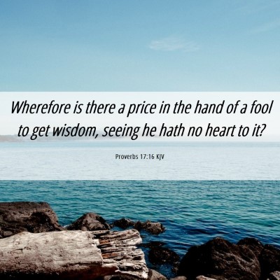 Picture 06 - Proverbs 17:16 KJV - Wherefore is there a price in the hand of a fool - Bible Verse Picture