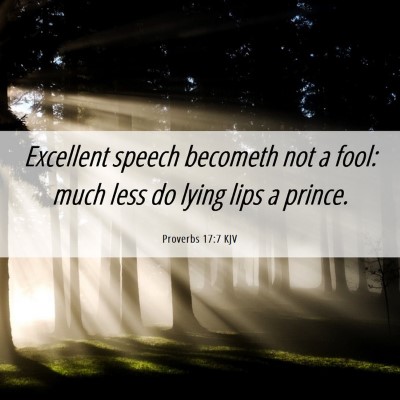 Picture 06 - Proverbs 17:7 KJV - Excellent speech becometh not a fool: much less - Bible Verse Picture