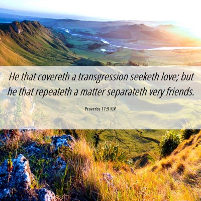 Picture 06 - Proverbs 17:9 KJV - He that covereth a transgression seeketh love; - Bible Verse Picture