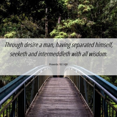 Picture 06 - Proverbs 18:1 KJV - Through desire a man, having separated himself, - Bible Verse Picture