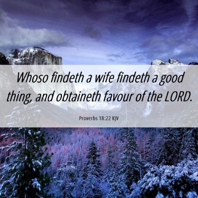 Picture 06 - Proverbs 18:22 KJV - Whoso findeth a wife findeth a good thing, and - Bible Verse Picture