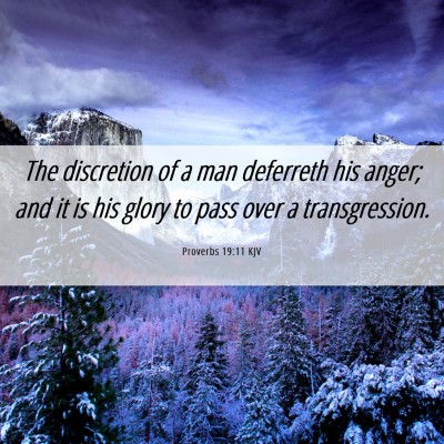 Picture 06 - Proverbs 19:11 KJV - The discretion of a man deferreth his anger; and - Bible Verse Picture