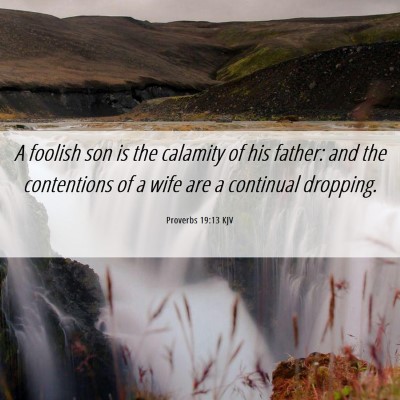 Picture 06 - Proverbs 19:13 KJV - A foolish son is the calamity of his father: and - Bible Verse Picture