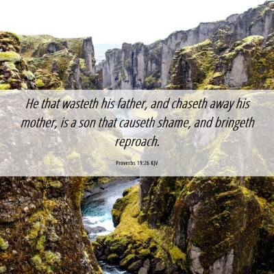 Picture 06 - Proverbs 19:26 KJV - He that wasteth his father, and chaseth away his - Bible Verse Picture