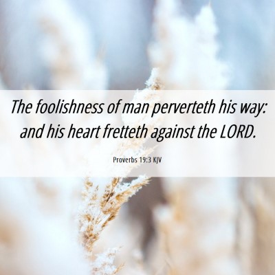Picture 06 - Proverbs 19:3 KJV - The foolishness of man perverteth his way: and - Bible Verse Picture