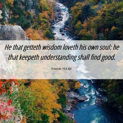 Picture 06 - Proverbs 19:8 KJV - He that getteth wisdom loveth his own soul: he - Bible Verse Picture