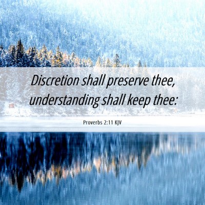 Picture 06 - Proverbs 2:11 KJV - Discretion shall preserve thee, understanding - Bible Verse Picture