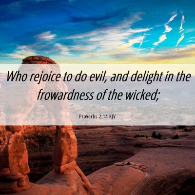 Picture 06 - Proverbs 2:14 KJV - Who rejoice to do evil, and delight in the - Bible Verse Picture