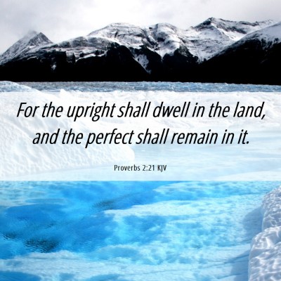 Picture 06 - Proverbs 2:21 KJV - For the upright shall dwell in the land, and the - Bible Verse Picture
