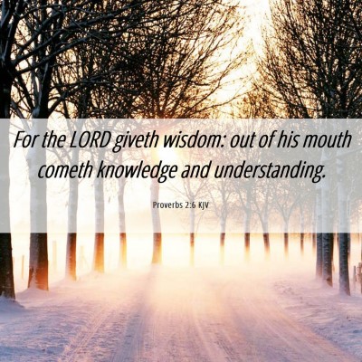 Picture 06 - Proverbs 2:6 KJV - For the LORD giveth wisdom: out of his mouth - Bible Verse Picture
