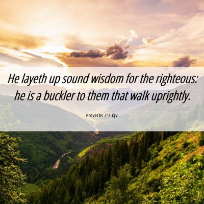 Picture 06 - Proverbs 2:7 KJV - He layeth up sound wisdom for the righteous: he - Bible Verse Picture