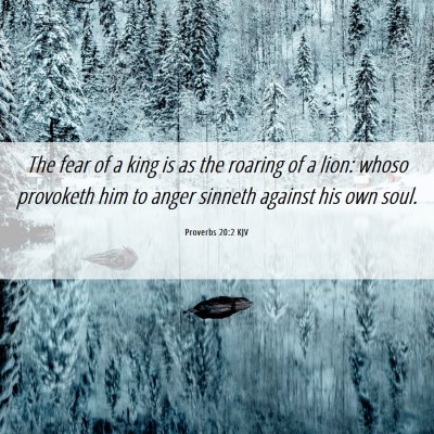 Picture 06 - Proverbs 20:2 KJV - The fear of a king is as the roaring of a lion: - Bible Verse Picture