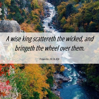 Picture 06 - Proverbs 20:26 KJV - A wise king scattereth the wicked, and bringeth - Bible Verse Picture