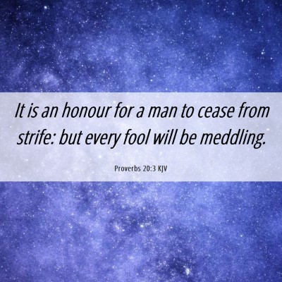 Picture 06 - Proverbs 20:3 KJV - It is an honour for a man to cease from strife: - Bible Verse Picture